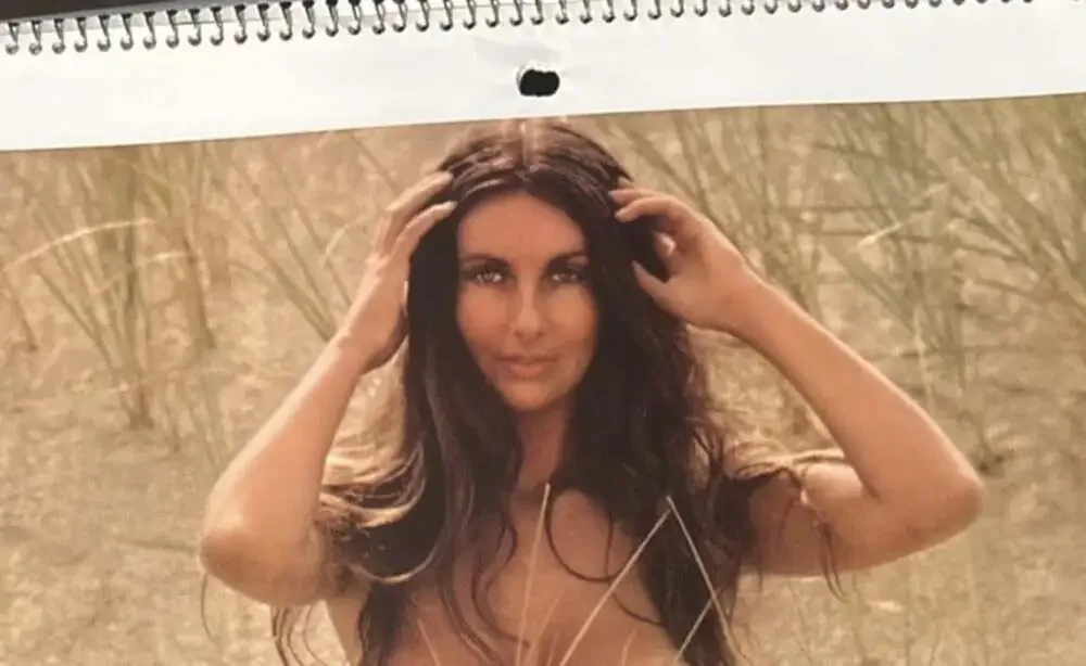 1973 Playboy Wall Calendar